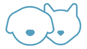 Consulta para cães e gatos